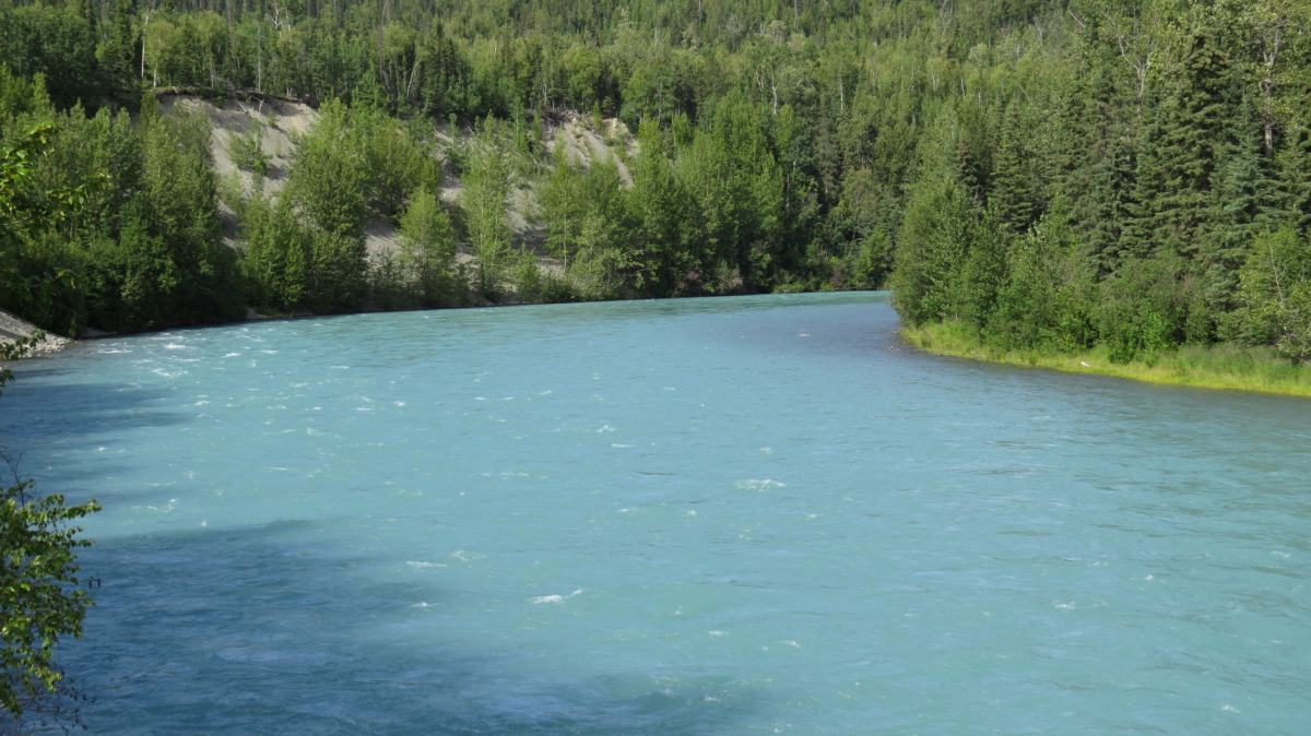 14644364476_0f5c8b2dac_o.webp - Dohrn Travels Kenai River