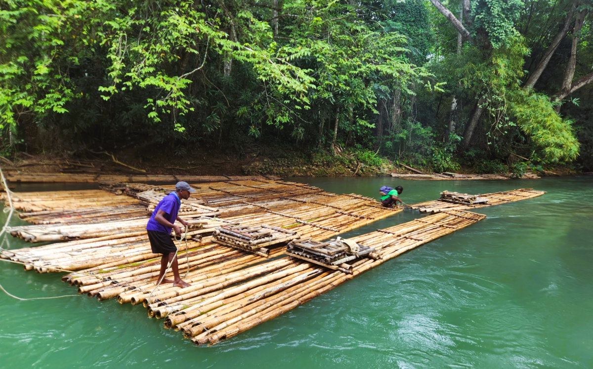 20241222_115312 cool - Dohrn Travels Rafting on a bamboo raft along a lush green river in Jamaica – eco-friendly cruise excursion experience