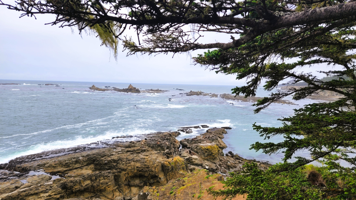 Port Orford Heads State Park – Oregon Coast - Dohrn Travels Port Orford Heads State Park coastline view Oregon