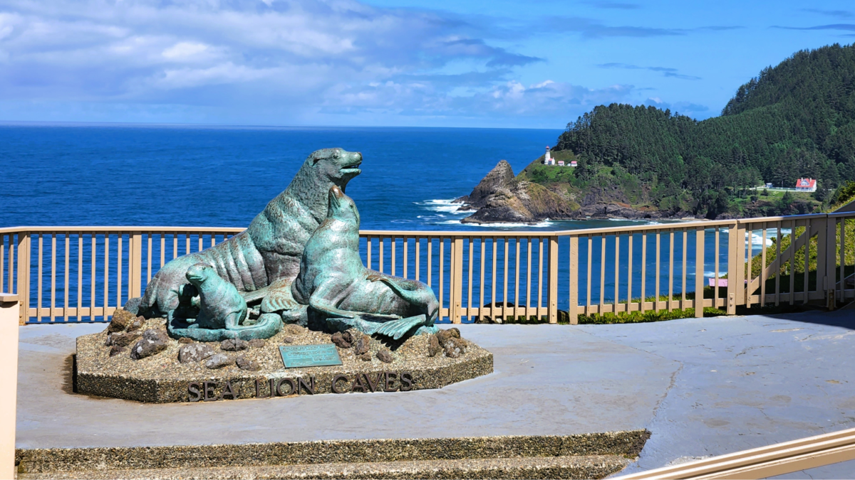 Sea Lion Caves – Oregon Coast Wildlife Attraction - Dohrn Travels Sea Lion Caves attraction on the Oregon Coast