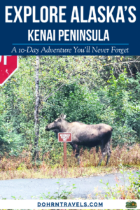 Alaska Road Trip Moose Pin - Plan your adventure across the Kenai Peninsula