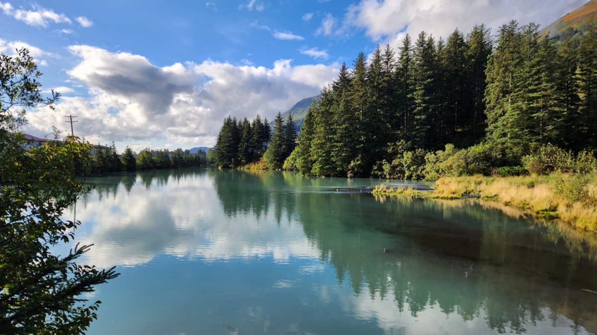 Scenic view of Benny Benson Memorial Park in Seward, Alaska, with calm turquoise water, pine trees, and mountain reflections under a blue sky.