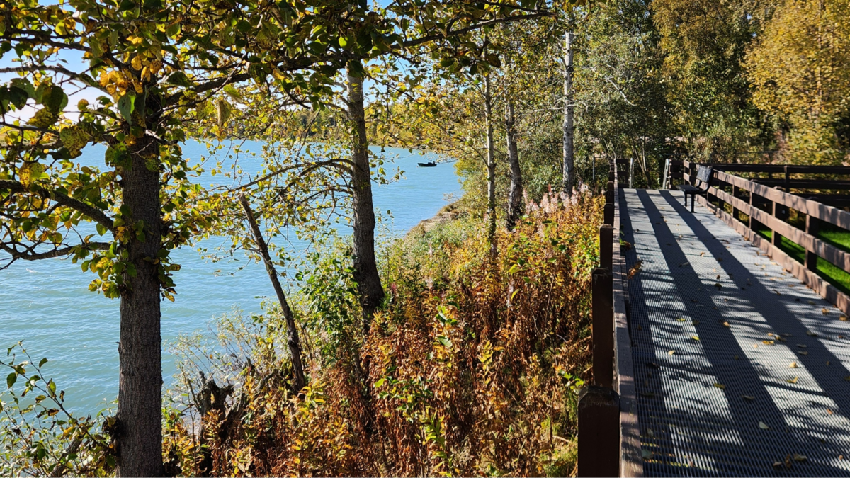 Cunningham Park Kenai River Boardwalk, Alaska - Dohrn Travels Boardwalk trail along the Kenai River at Cunningham Park in Kenai, Alaska, with trees and a boat on the river.