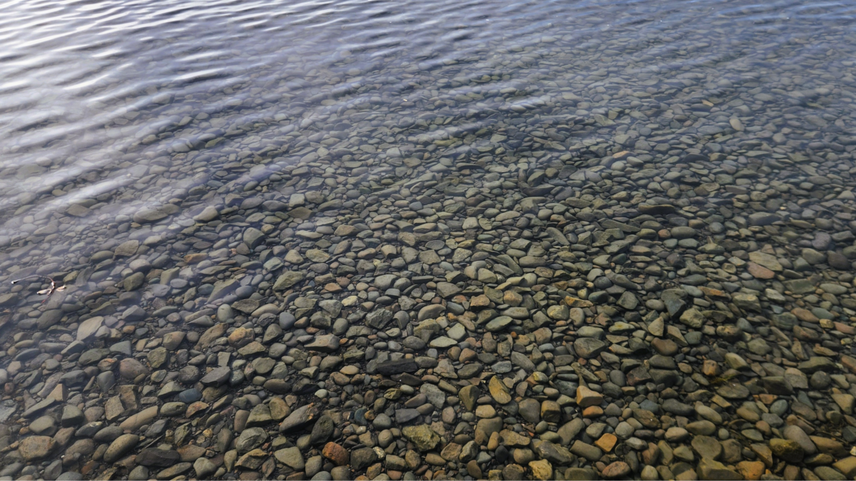 Lower Skilak Lake Clear Water – Alaska’s Crystal-Clear Lakeshore - Dohrn Travels Close-up of clear water and smooth rocks along the shoreline of Lower Skilak Lake in Alaska.