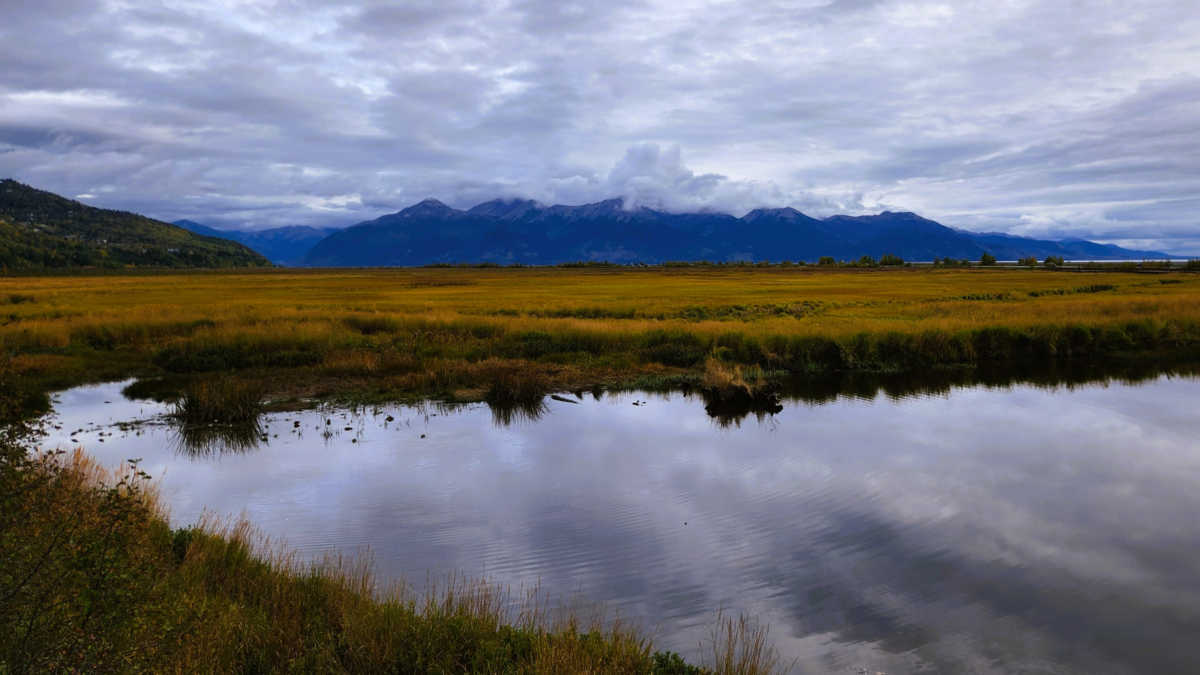 Potter Marsh Wildlife Viewing Boardwalk – Anchorage Alaska - Dohrn Travels Scenic view of Potter Marsh wetlands and Chugach Mountains from the wildlife viewing boardwalk in Anchorage, Alaska.