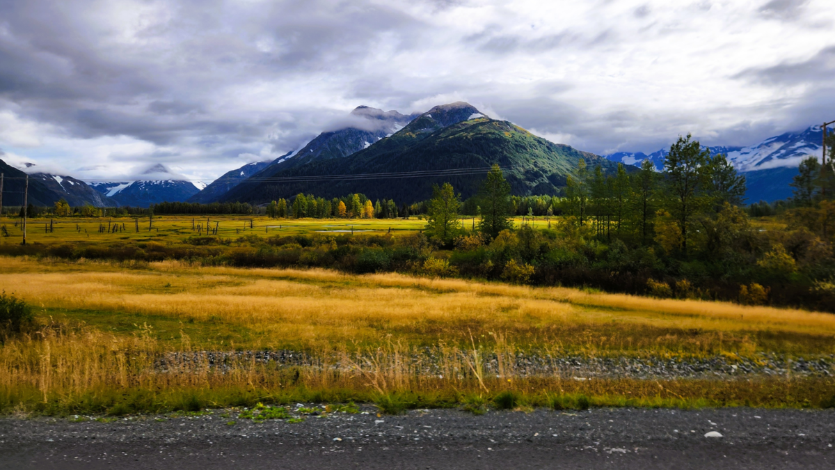 Seward Highway Mountain Views – Scenic Drive through Alaska’s Kenai Peninsula - Dohrn Travels Scenic mountain view along the Seward Highway in Alaska with golden meadows and snow-capped peaks.