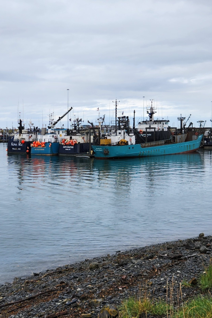 Fishing Boats Docked at Homer Spit Harbor, Alaska - Dohrn Travels Fishing boats and commercial vessels docked in the calm waters of Homer Spit Harbor, Alaska.