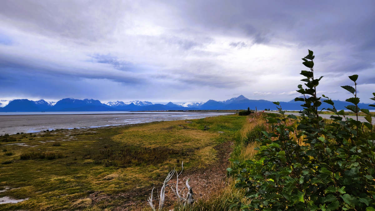 Homer Spit Bay and Mountain View – Alaska - Dohrn Travels Scenic view of Homer Spit bay with grassy shoreline and snow-capped mountains in the background under a cloudy sky in Alaska.