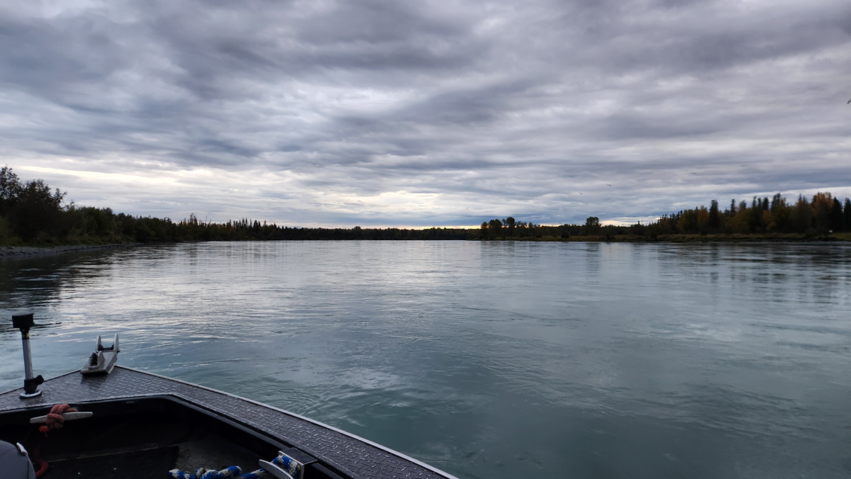 Kenai River Front of Boat View – Alaska Fishing Adventure - Dohrn Travels Front view from a fishing boat on the Kenai River, surrounded by calm turquoise water and Alaskan forest under a cloudy sky.