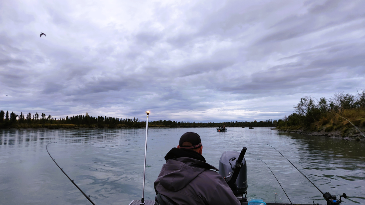 Best Kenai River Fishing Guides: My Top 3 Picks