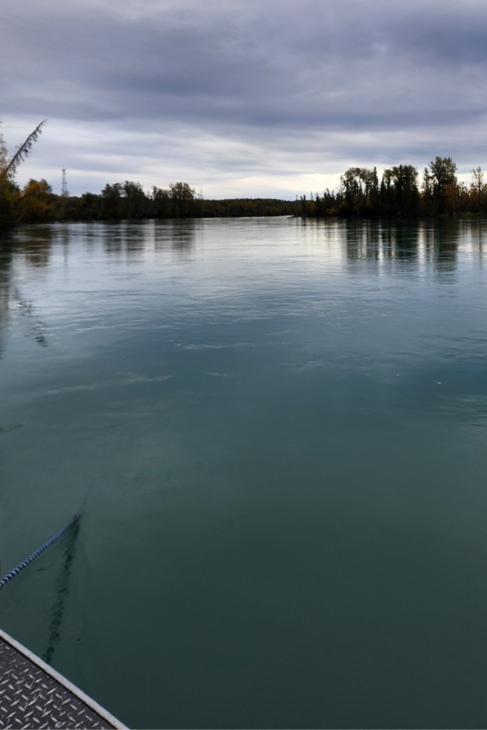 King of the River Kenai River Fishing Trip – Front Boat View - Dohrn Travels Front view from a King of the River fishing boat drifting down Alaska’s Kenai River surrounded by scenic fall colors.