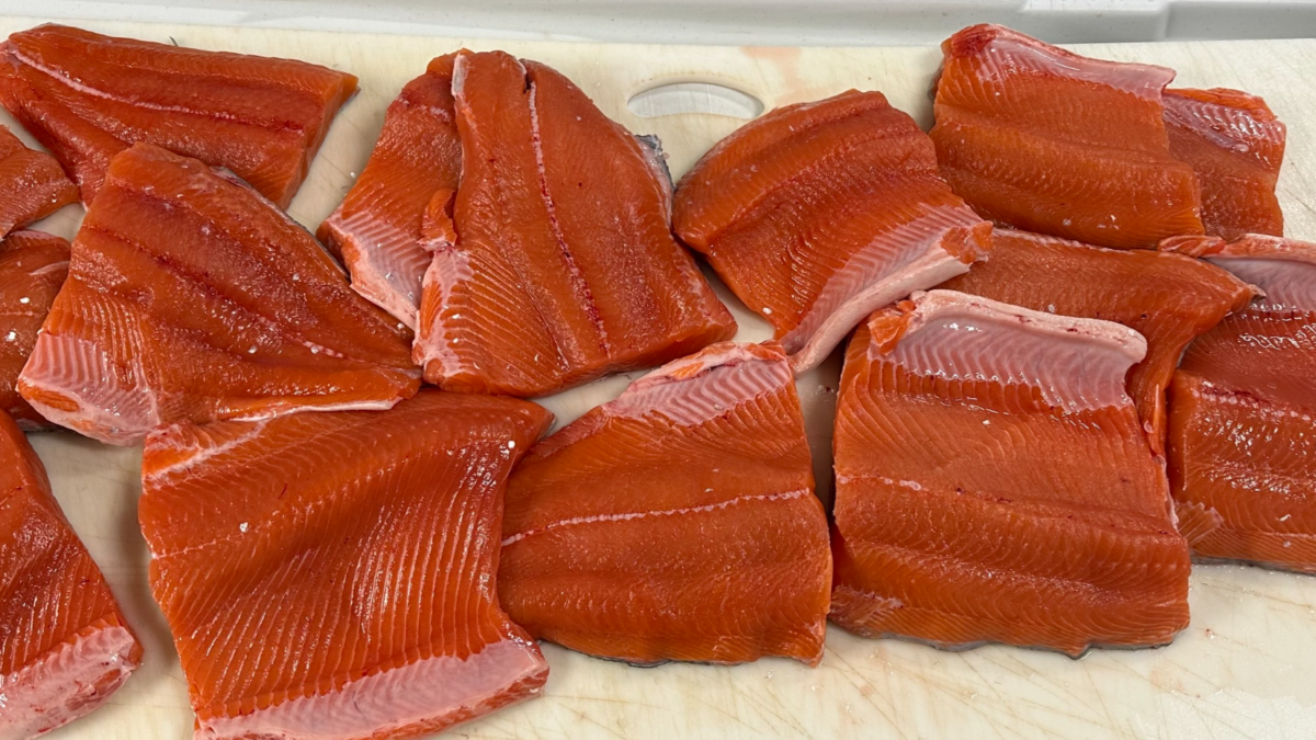 Processed Salmon Fillets – King of the River, Alaska - Dohrn Travels Freshly processed salmon fillets from King of the River in Alaska, ready for packaging.