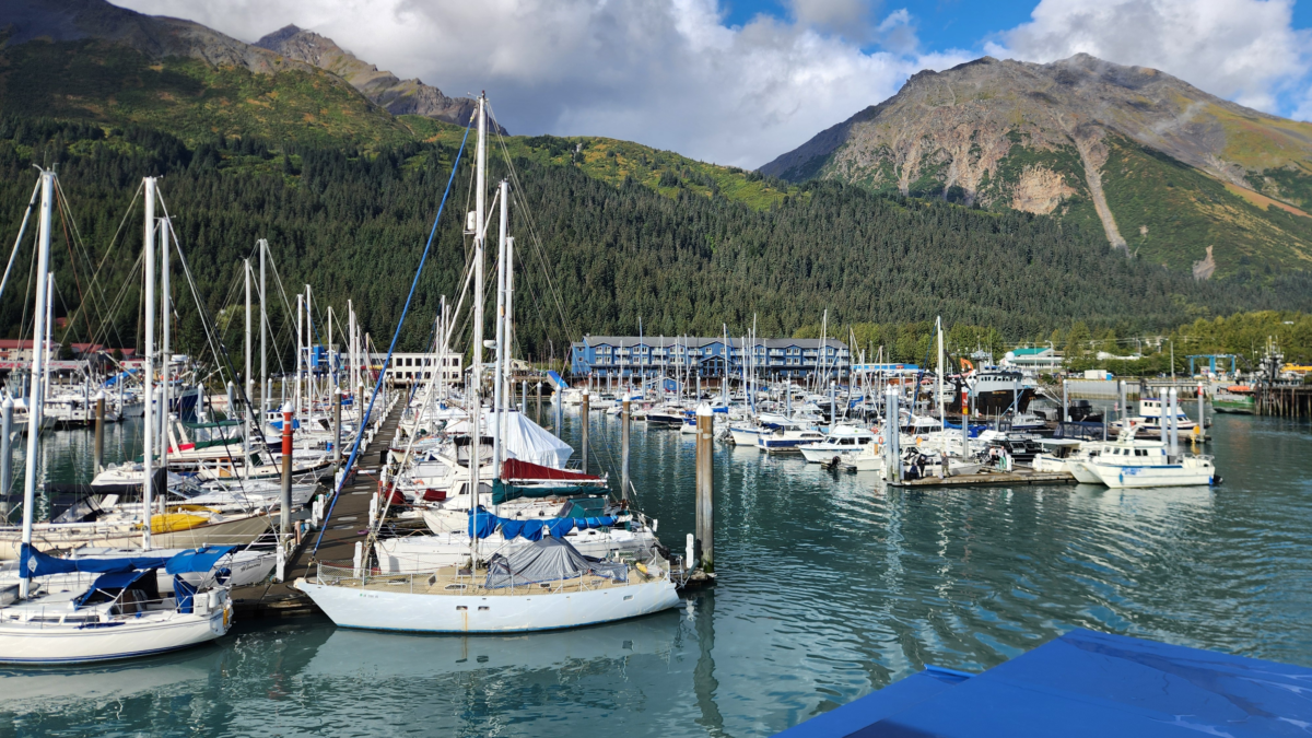 Places to Stay in Seward Alaska. Boats docked at Seward Harbor with mountain views, photographed from the Major Marine Tours vessel before departing on a Kenai Fjords Cruise in Alaska.