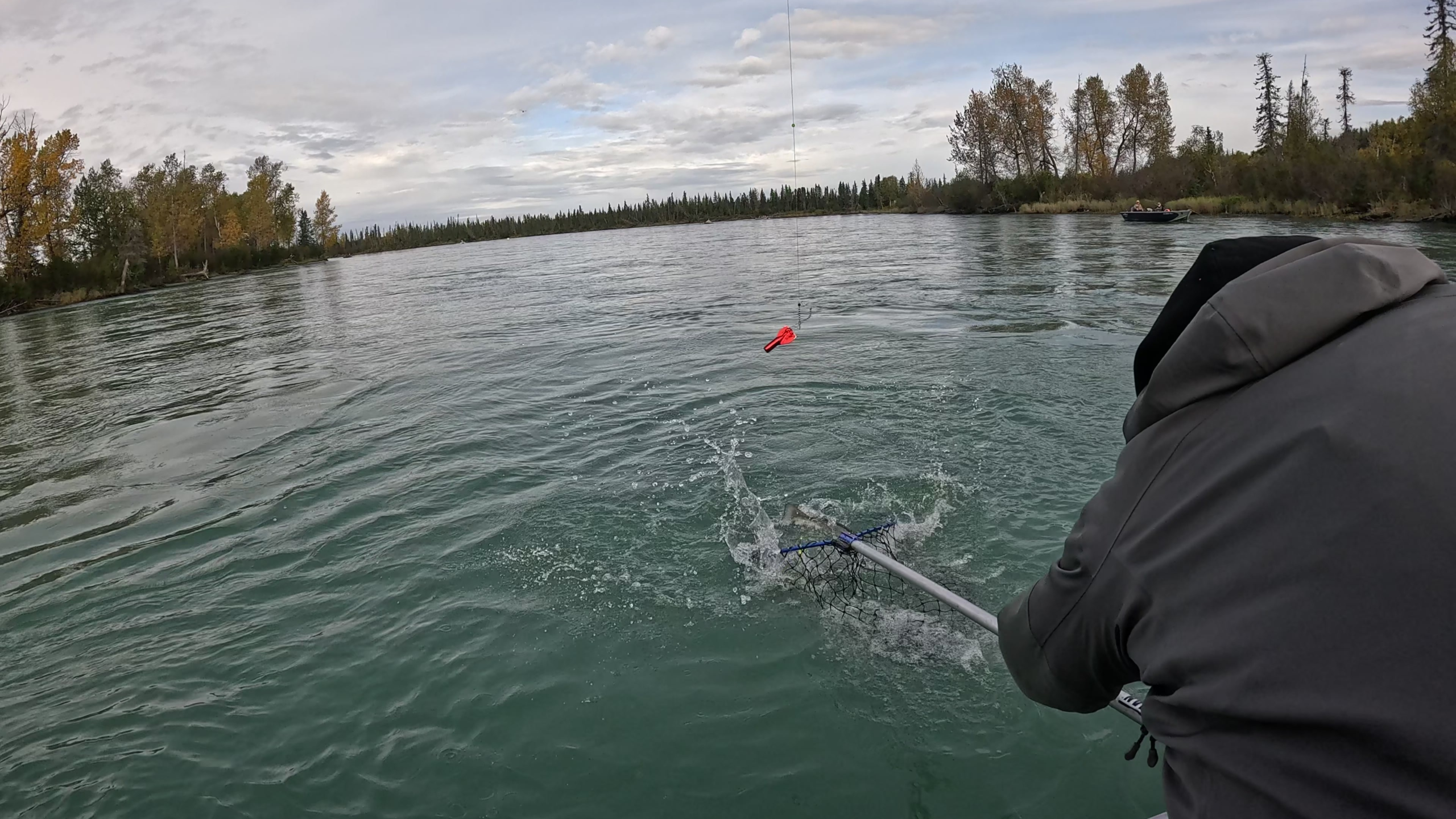 Trying to Net a Salmon on the Kenai River – Alaska Fishing Adventure - Dohrn Travels Angler reaching out with a fishing net to land a salmon on the Kenai River in Alaska during a guided fishing trip.