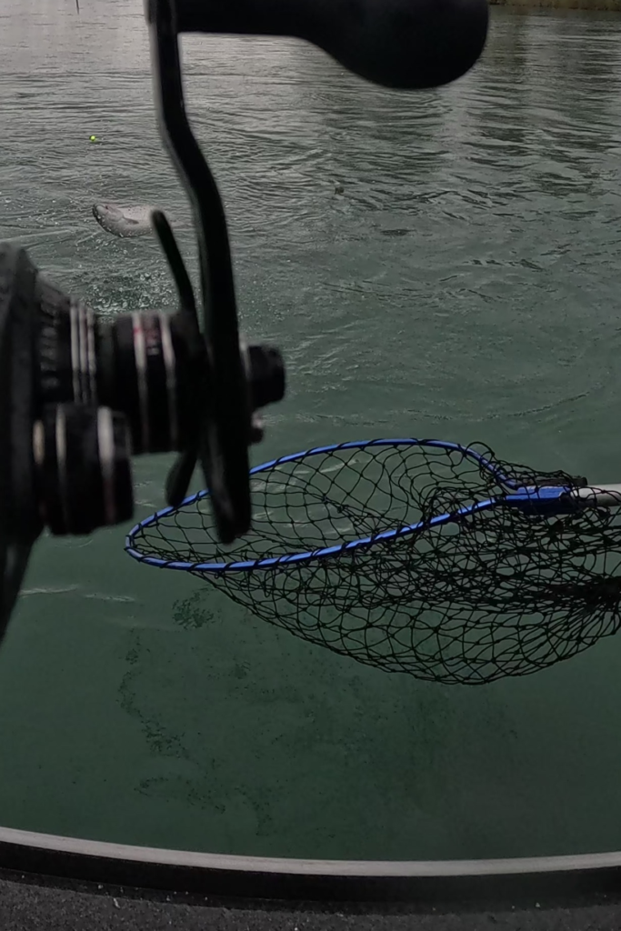 Reeling in Salmon on the Kenai River – Net Ready for the Catch - Dohrn Travels Angler reeling in a salmon on the Kenai River in Alaska as the fish jumps from the water with a landing net ready.