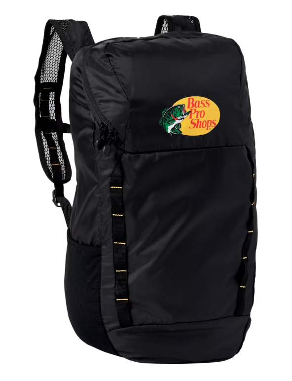 Collapsible backpack – lightweight and packable gift idea for travelers under $25