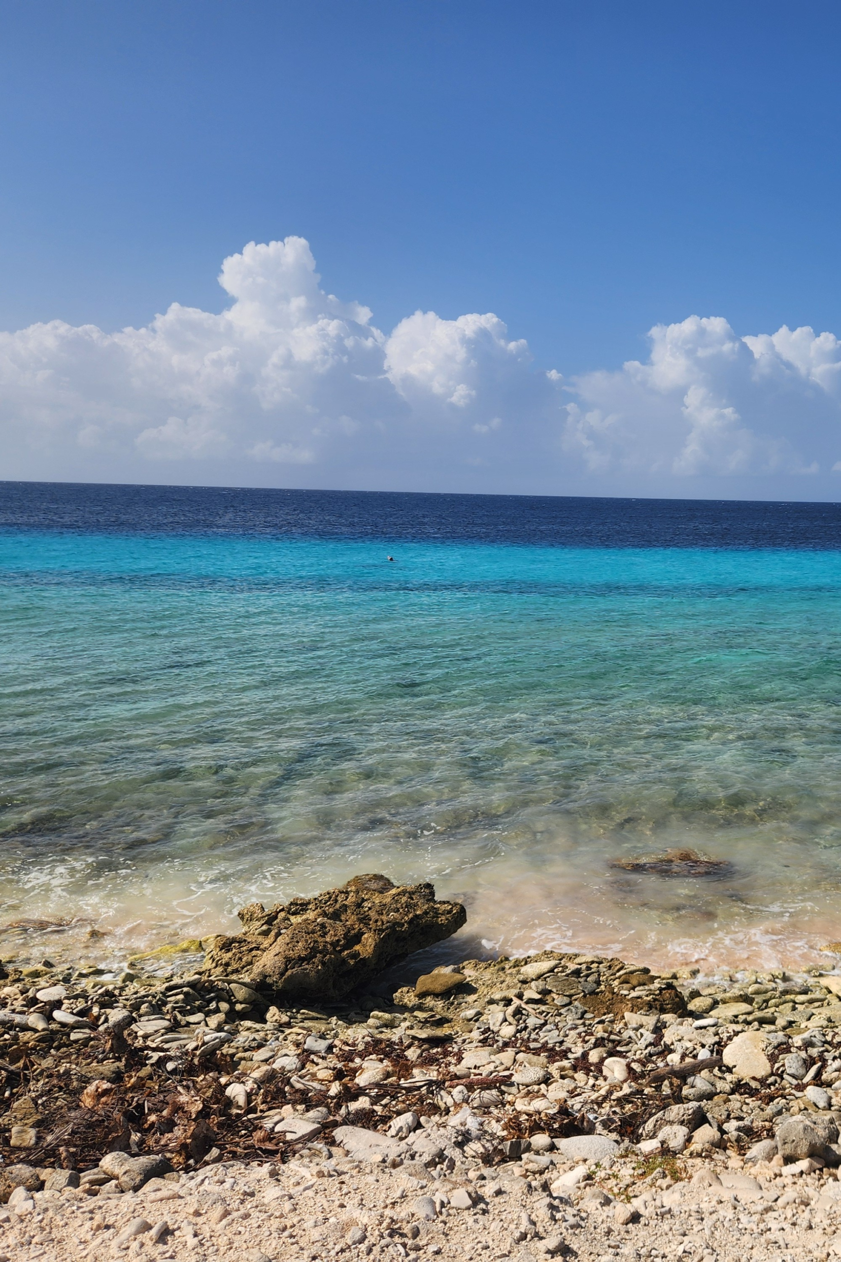 Rocky shoreline with clear turquoise water in Bonaire