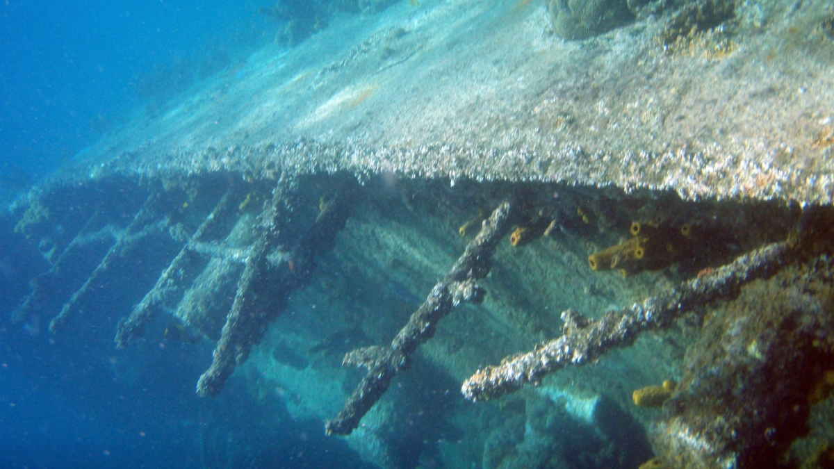 Shipwreck Snorkeling in Aruba - Dohrn Travels Snorkeling near a shipwreck in Aruba with coral growth and fish surrounding the wreck. Arashi beach snorkeling