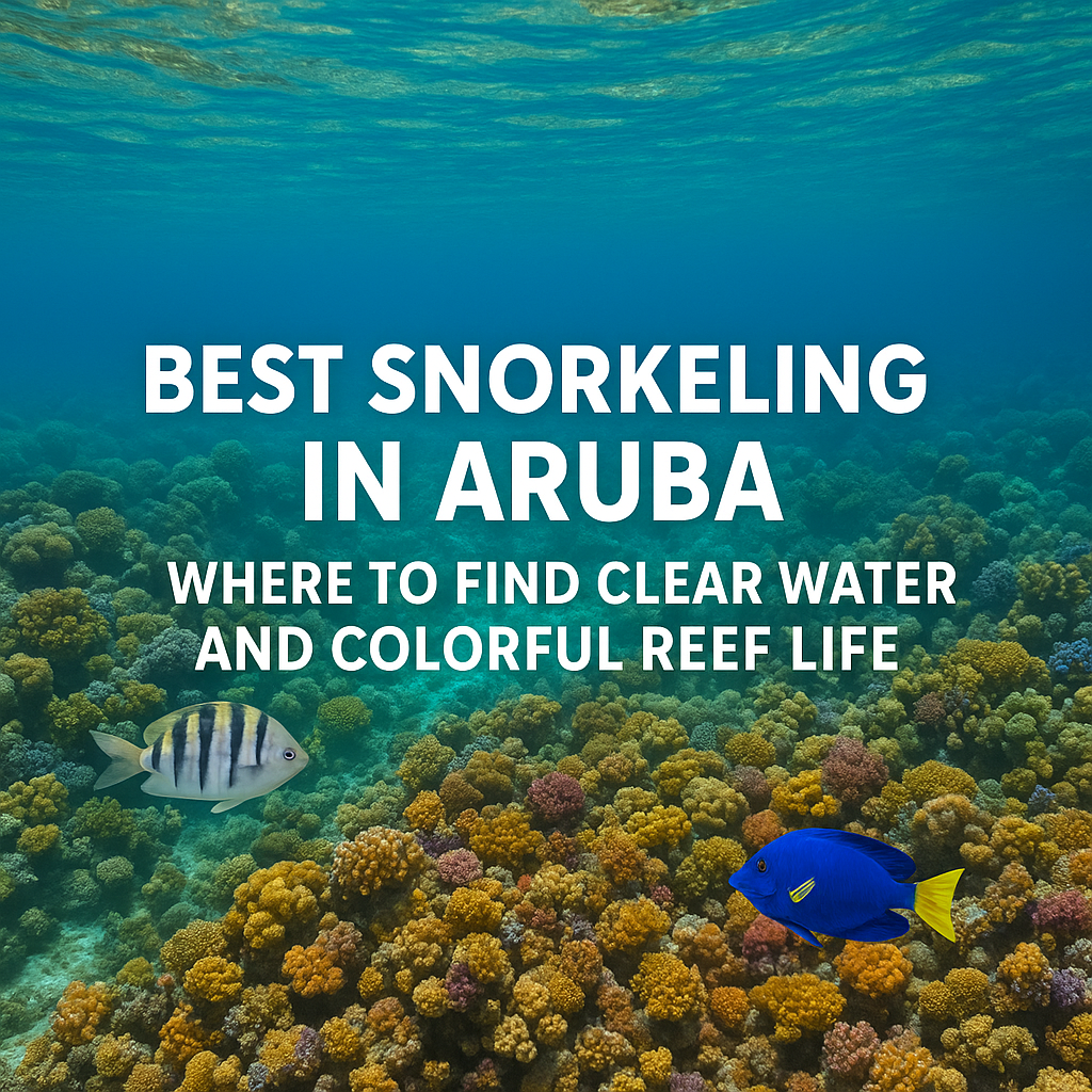 Best Snorkeling in Aruba Coral Reef - Dohrn Travels Colorful coral reef with tropical fish in clear water at one of the best Snorkeling in Aruba.