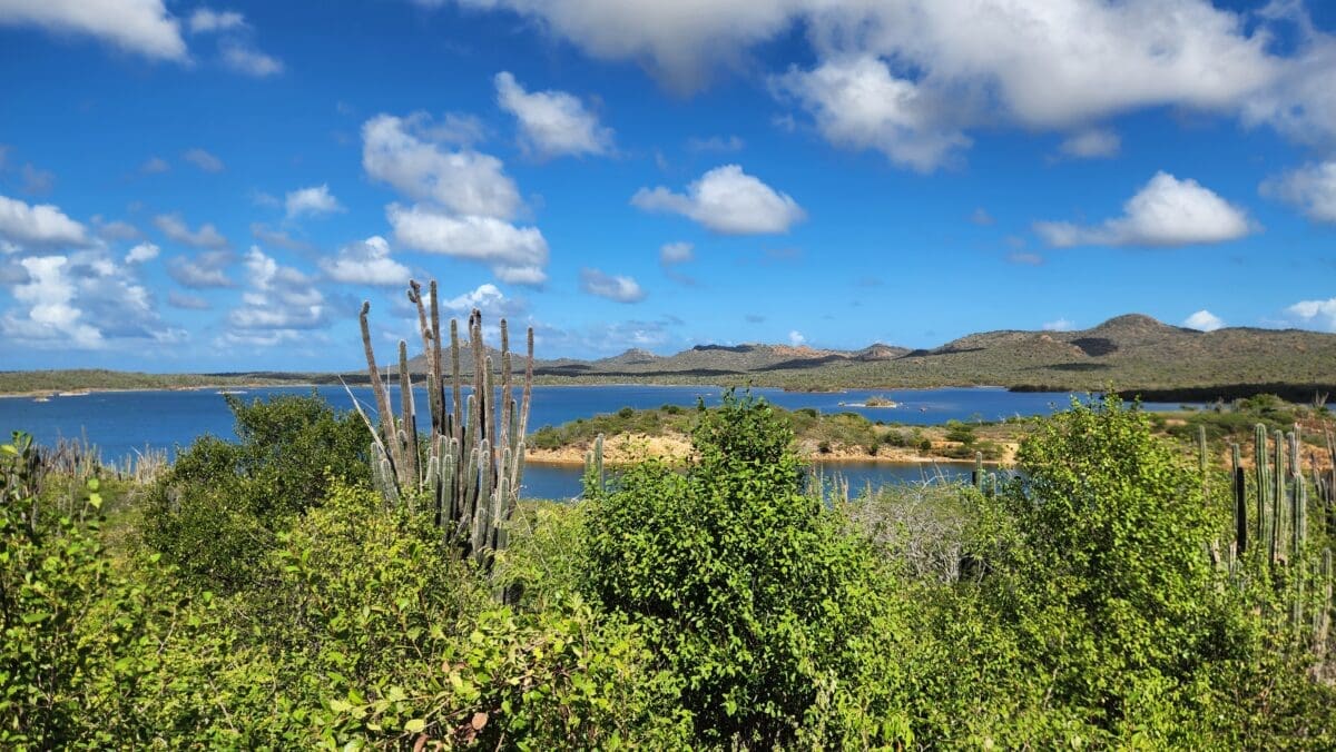 Goto Lake Viewpoint Bonaire - Dohrn Travels View of Goto Lake and surrounding landscape in northern Bonaire