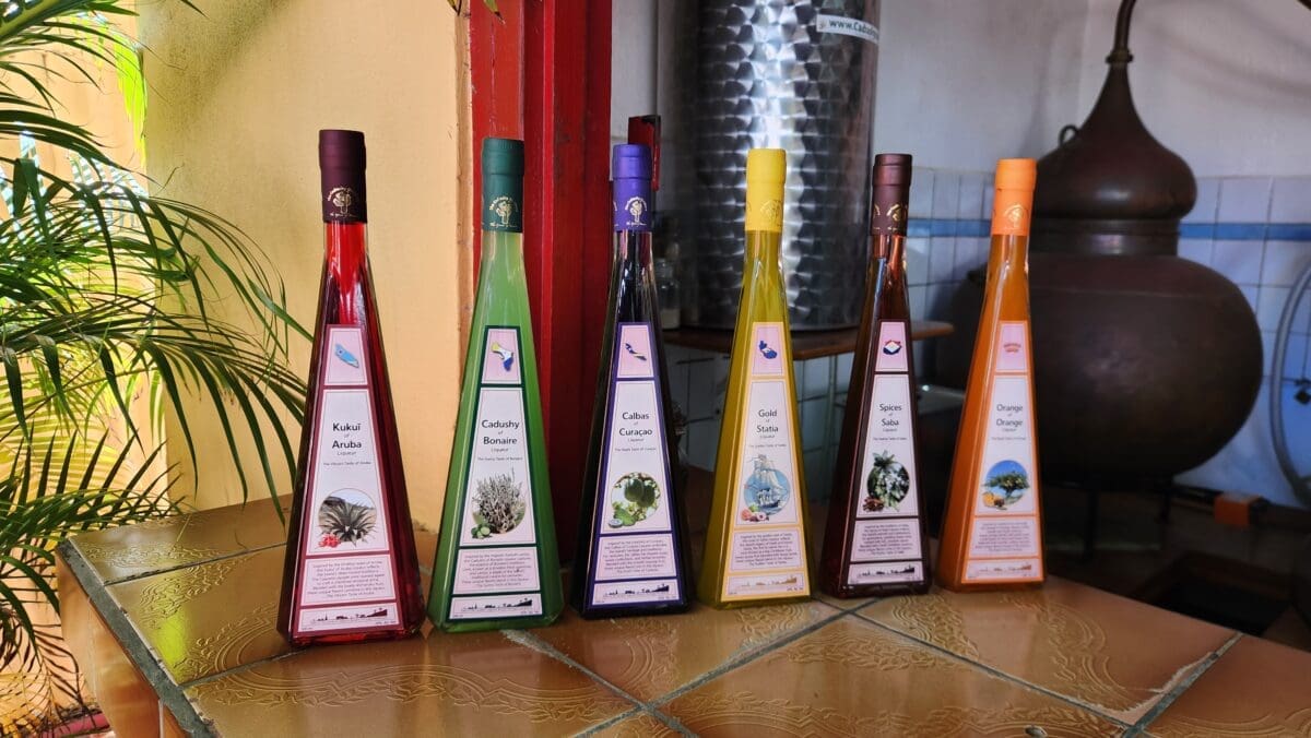 Cadushy Distillery Bonaire - Dohrn Travels Colorful bottles of cactus liquor at Cadushy Distillery in Bonaire