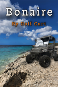 Bonaire by golf cart cruise port guide and island route map