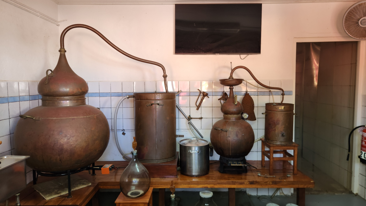 Copper Stills at Cadushy Distillery - Dohrn Travels Traditional copper stills at The Cadushy Distillery in Bonaire