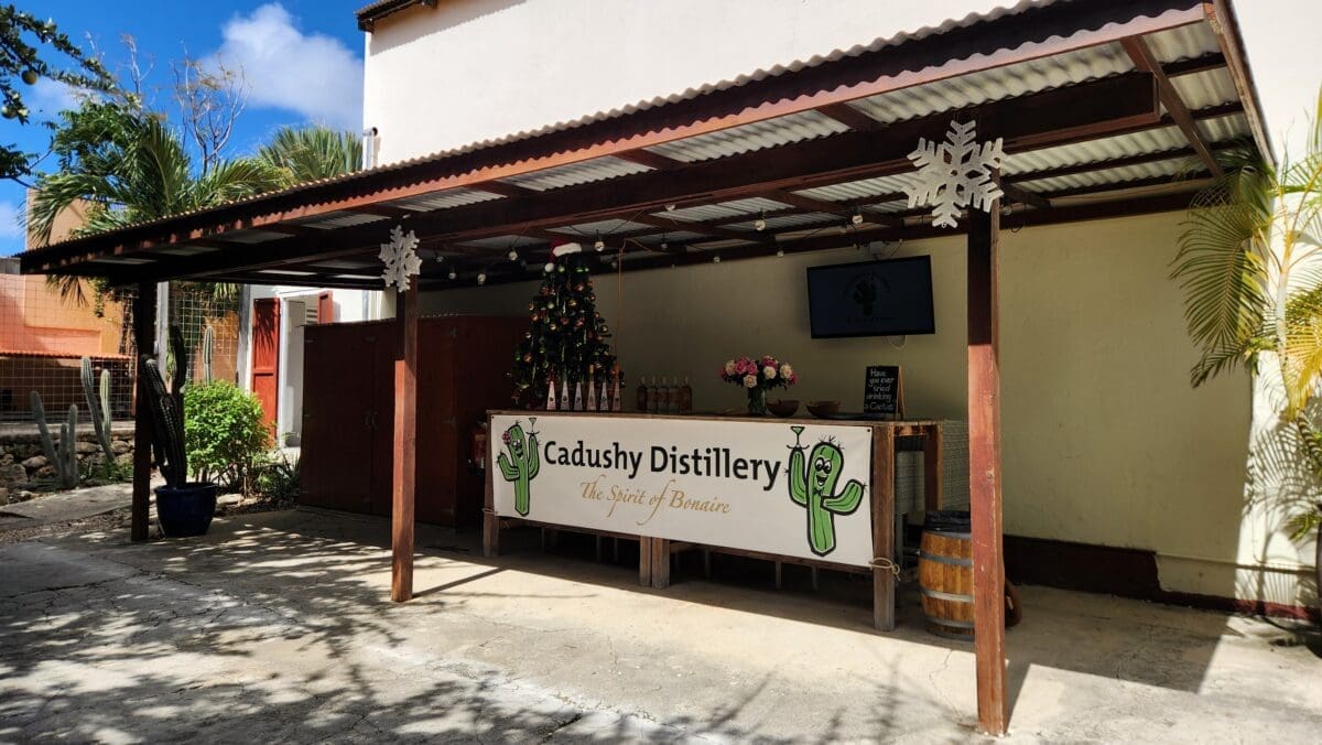 Tasting Bar at Cadushy Distillery Bonaire - Dohrn Travels Outdoor tasting bar at The Cadushy Distillery in Bonaire